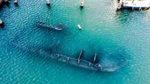 corpus shipwreck kayak tour