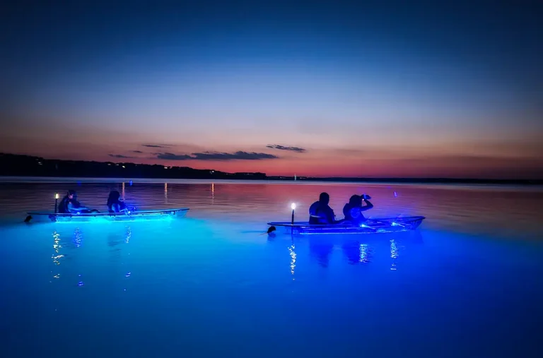 glowrow-kayaks people in glowing kayaks